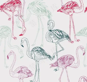 卡通动物 卡图片