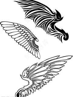 矢量翅膀图片
