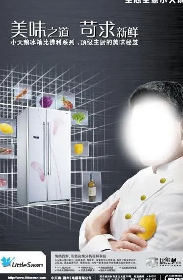 小天鹅冰箱广告图片ai矢量模版下载
