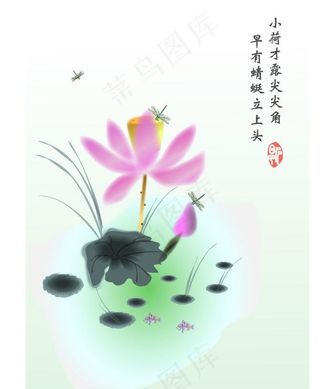 矢量荷花荷叶图片