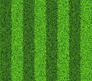 绿草的设计元素矢量图04