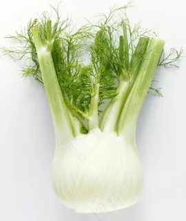 芹菜图片