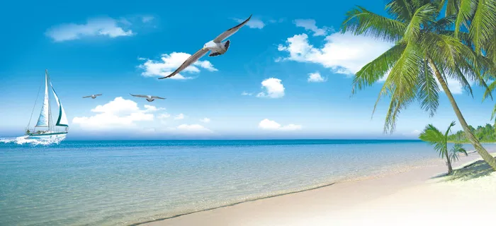 夏日湛蓝海滩椰树图片