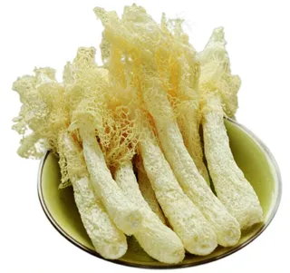 竹生 美食 健康食物 野生 餐饮 竹生 白色竹荪