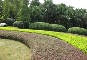 公园风景图片