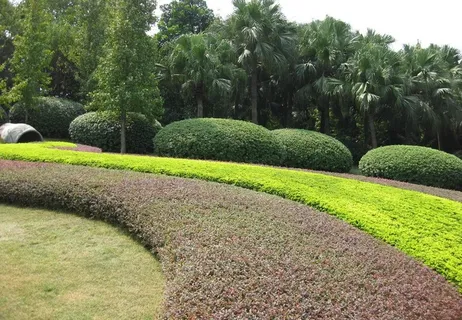公园风景图片 公园风景图片