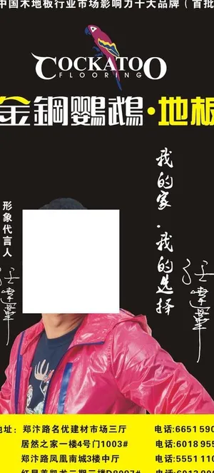 金钢鹦鹉地板图片