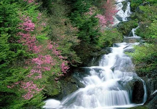 春天山间小溪图片