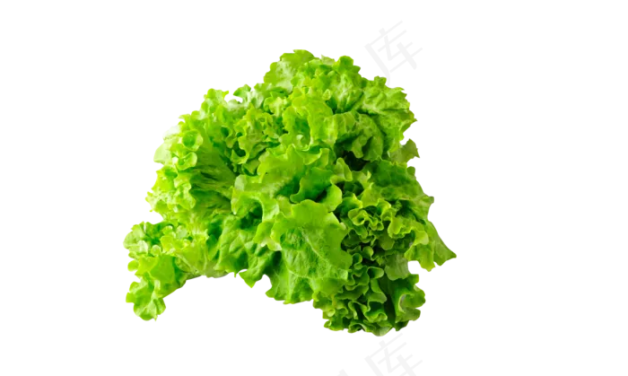生菜png