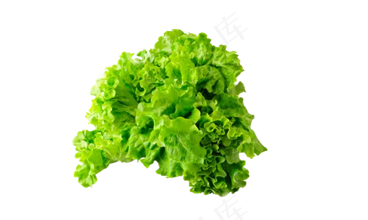 生菜png 生菜png