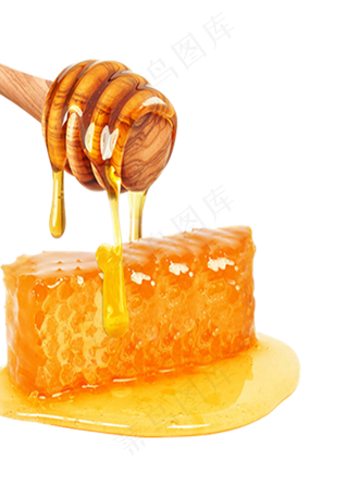 89款蜜蜂巢海png免抠透明素材