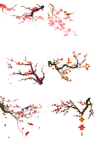 冬天腊梅红色雀上枝头素材免抠手冬天腊梅红色雀上枝头素材免抠手