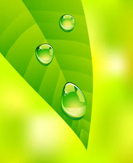 清新绿叶水珠矢量图eps,ai矢量模版下载