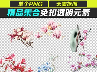 手绘中国风花卉花朵玉兰花元素