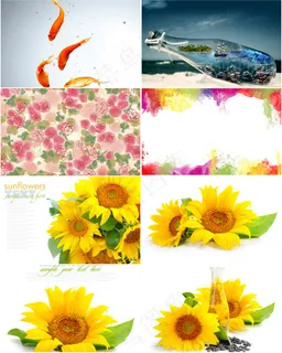 花朵和金鱼背景