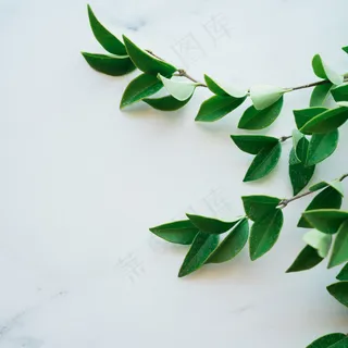 简约小清新文艺风插花静物摆拍背景