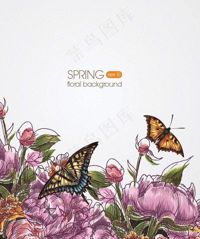春天鲜花蝴蝶图片