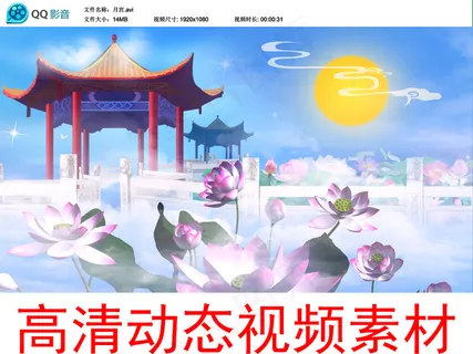 月宫仙境荷花动态视频