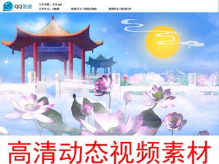 月宫仙境荷花动态视频