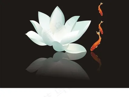 矢量手绘荷花图片