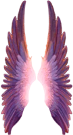 彩色羽毛翅膀美工视觉设计免扣素材