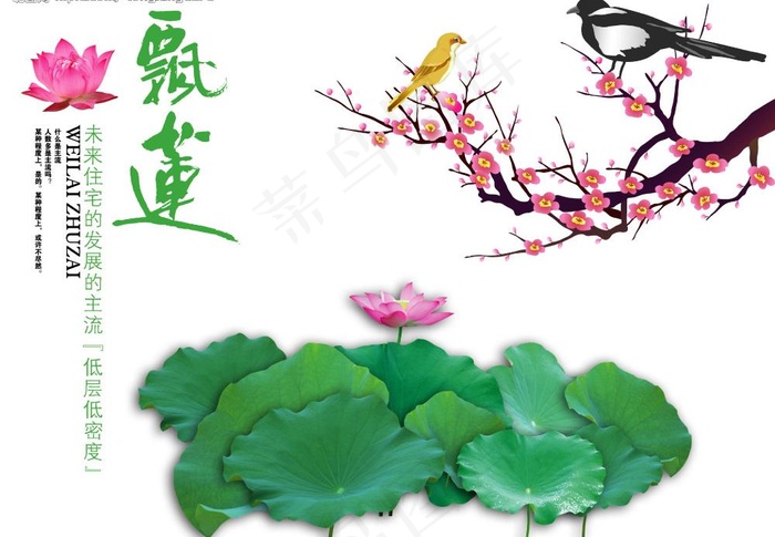 飘莲 喜鹊 梅花 荷花 莲花图...