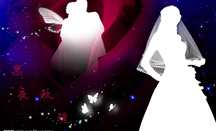 玫瑰之恋之黑夜玫瑰图片(3970X2640(DPI:300))psd模版下载