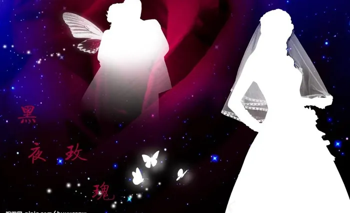 玫瑰之恋之黑夜玫瑰图片(3970X2640(DPI:300))psd模版下载