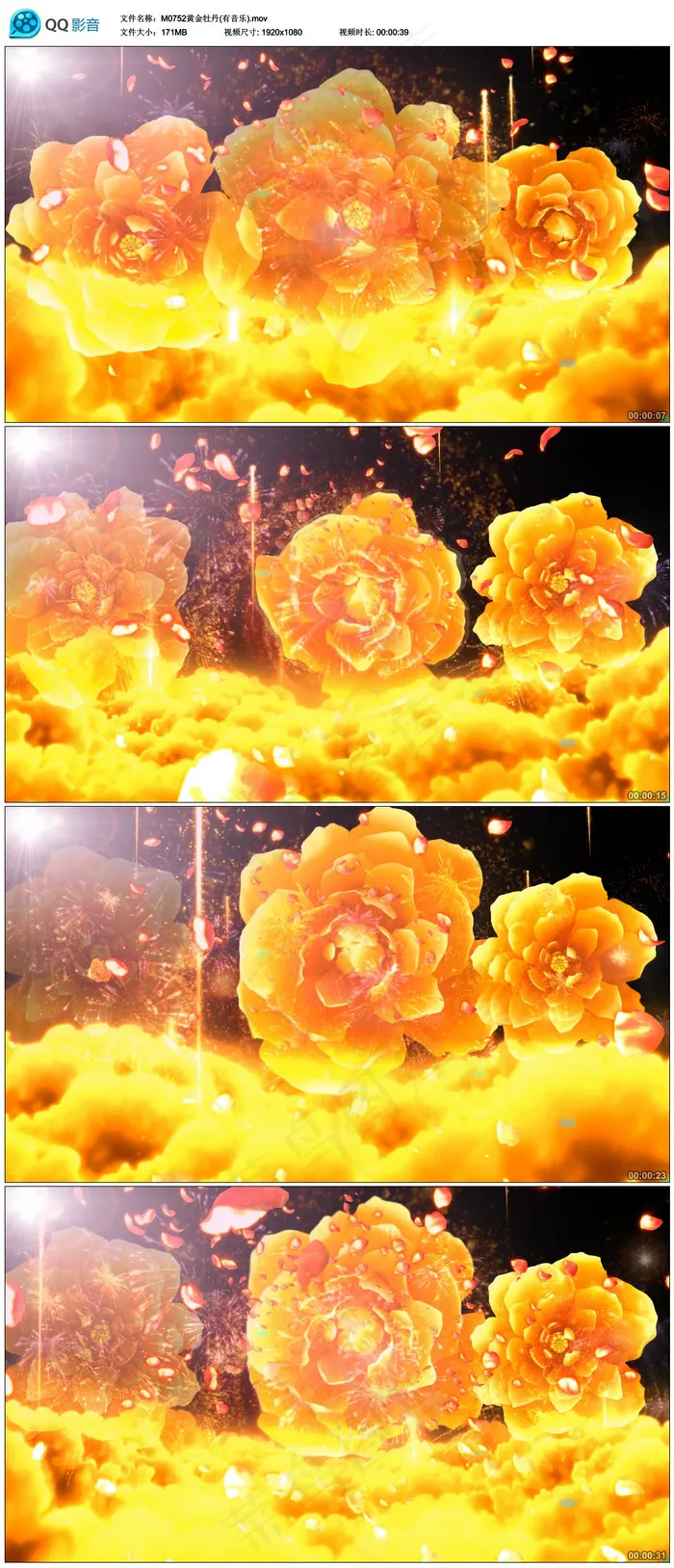 大气黄金牡丹开花变幻绚丽LED视频...