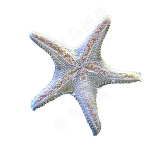 海星免抠素材PSD分层