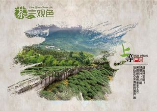 茶叶宣传海报图片
