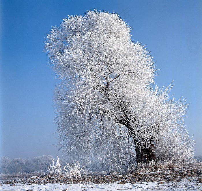 雪景图片