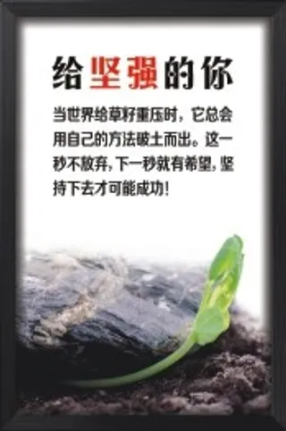 给坚强的你