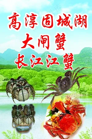 大闸蟹长江江蟹海报