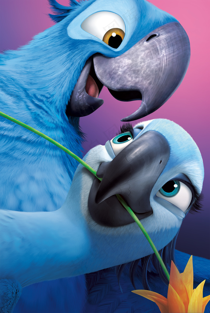 奇鹦嘉年华2动画