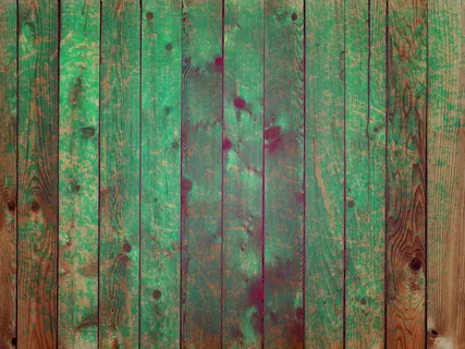 老式纸垃圾微妙的woodbarn