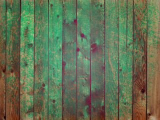 老式纸垃圾微妙的woodbarn