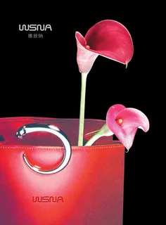 维丝纳女包广告 维丝纳女包广告