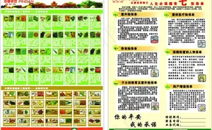 传单图片