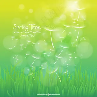 在草地上的蒲公英散景效果