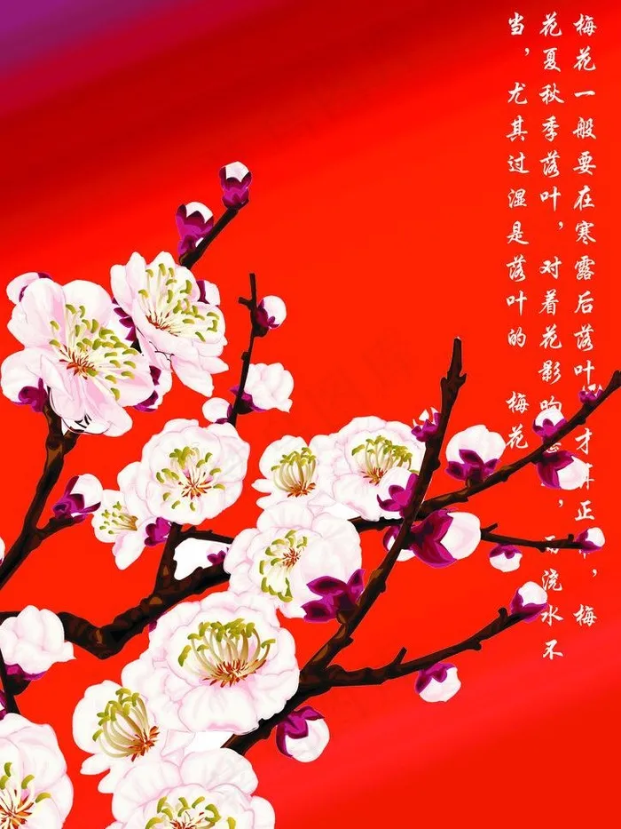 梅花图片psd模版下载