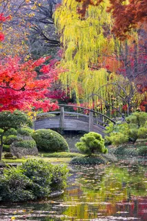 美丽拱桥风景 美丽拱桥风景