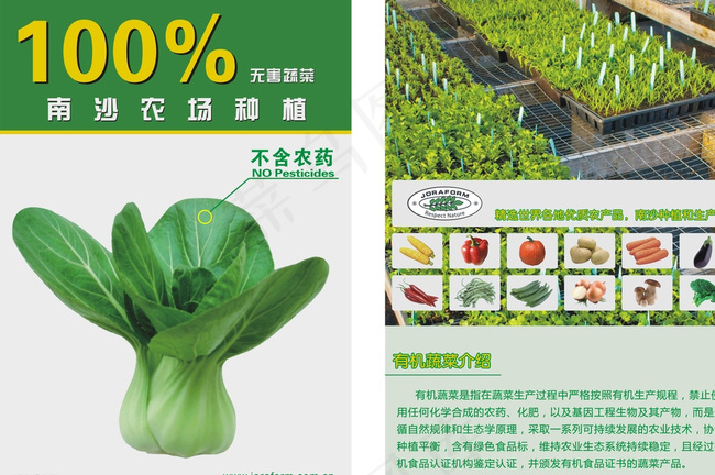 有机蔬菜宣传单图片cdr矢量模版下载
