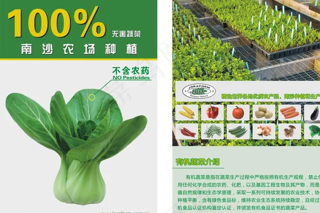 有机蔬菜宣传单图片cdr矢量模版下载