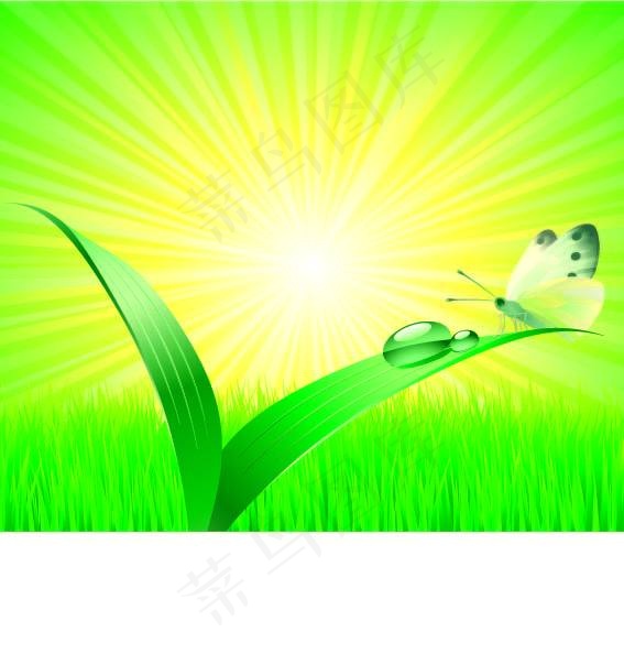 清晨带着露水的青草地矢量素材ai矢量模版下载
