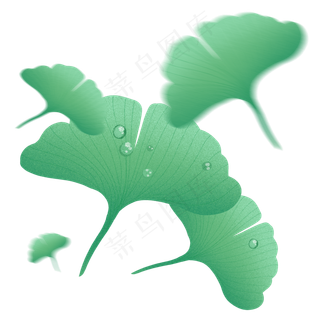 银杏叶子银杏叶子