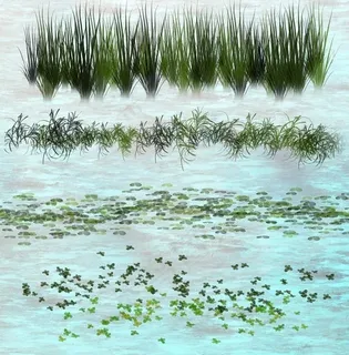 浮游水草装饰系列PS笔刷