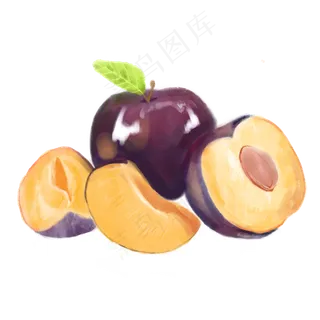 矢量手绘李子素材矢量手绘李子素材