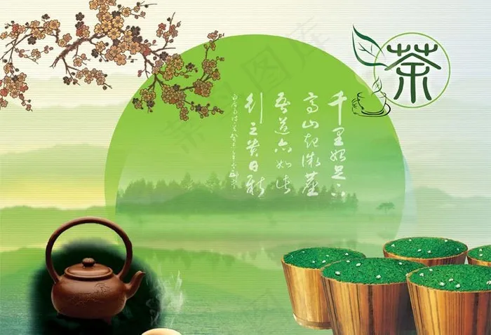 茶园图片