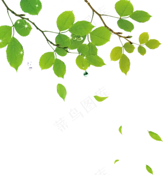 春游踏青趣电子小报